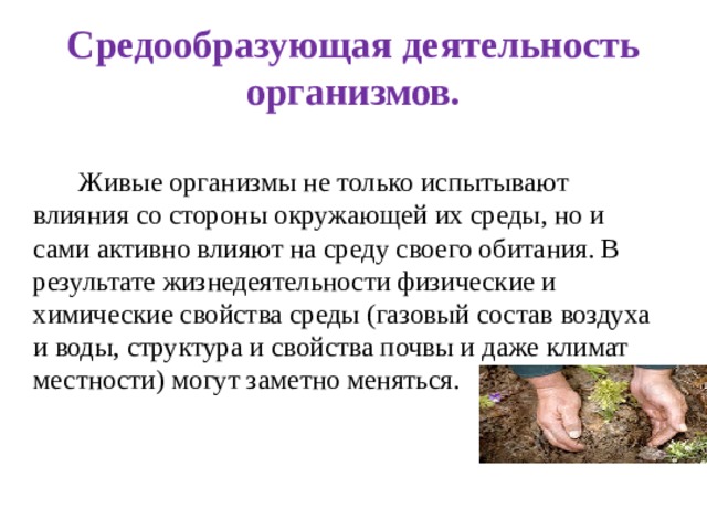  Средообразующая деятельность организмов.    Живые организмы не только испытывают влияния со стороны окружающей их среды, но и сами активно влияют на среду своего обитания. В результате жизнедеятельности физические и химические свойства среды (газовый состав воздуха и воды, структура и свойства почвы и даже климат местности) могут заметно меняться. 