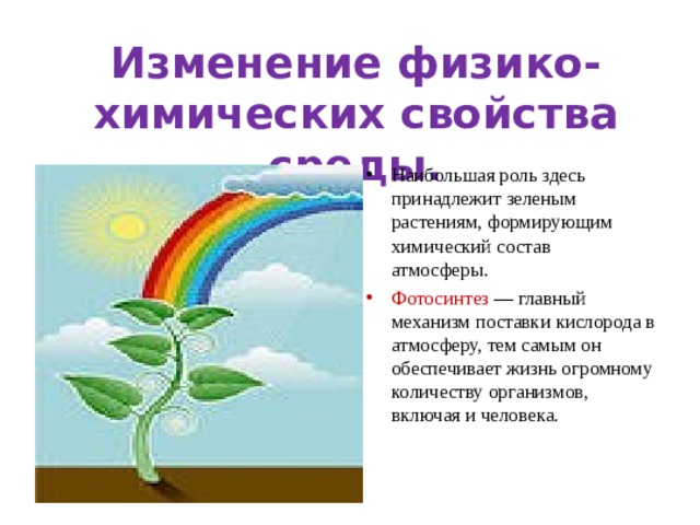 Изменение физико-химических свойства среды. Наибольшая роль здесь принадлежит зеленым растениям, формирующим химический состав атмосферы.  Фотосинтез — главный механизм поставки кислорода в атмосферу, тем самым он обеспечивает жизнь огромному количеству организмов, включая и человека. 