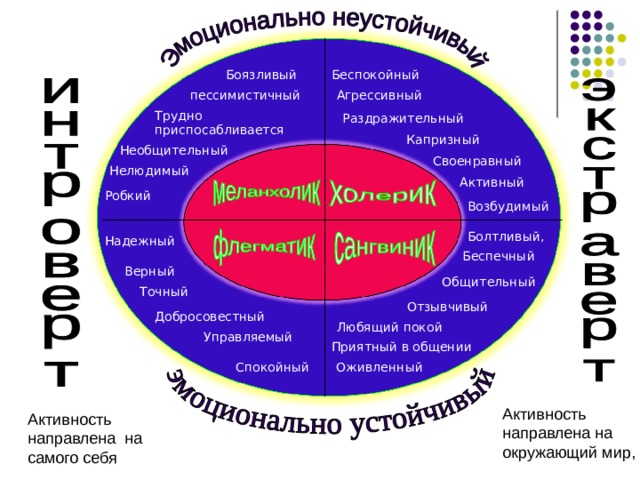Беспокойный Боязливый Агрессивный  пессимистичный Трудно приспосабливается Раздражительный  Капризный  Необщительный Своенравный Нелюдимый Активный  Робкий Возбудимый  Болтливый, Надежный Беспечный Верный Общительный Точный Отзывчивый Психологическую основу темперамента составляют индивидуальные особенности человека, проявляющиеся, во-первых, в его активности, которая может быть направлена либо на окружающий мир (экстравертированность), либо на самого себя (интровертированность), во-вторых, в его эмоциональной устойчивости или неустойчивости. Добросовестный Любящий покой Управляемый Приятный в общении Спокойный Оживленный Активность направлена на окружающий мир, Активность направлена на самого себя 9 