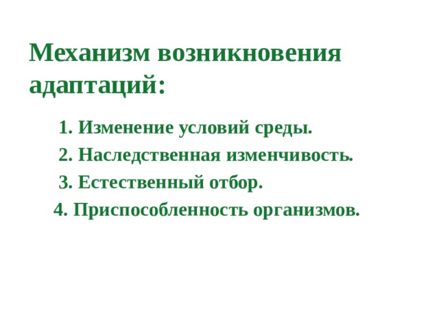 Механизм возникновения адаптаций:    1. Изменение условий среды.  2. Наследственная изменчивость.  3. Естественный отбор.  4. Приспособленность организмов.   