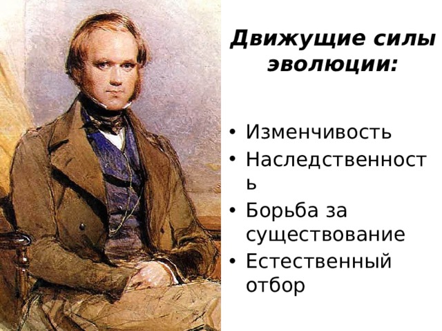 Движущие силы эволюции: Изменчивость Наследственность Борьба за существование Естественный отбор 