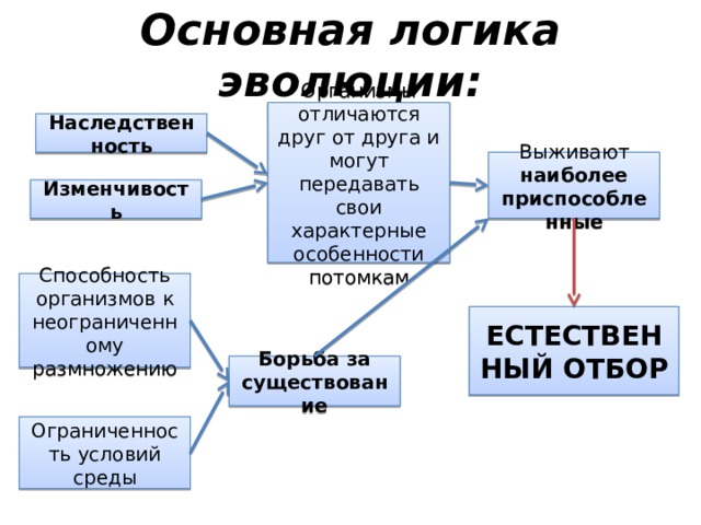 Основная логика эволюции: Организмы отличаются друг от друга и могут передавать свои характерные особенности потомкам Наследственность Выживают наиболее приспособленные Изменчивость Способность организмов к неограниченному размножению ЕСТЕСТВЕННЫЙ ОТБОР Борьба за существование Ограниченность условий среды 