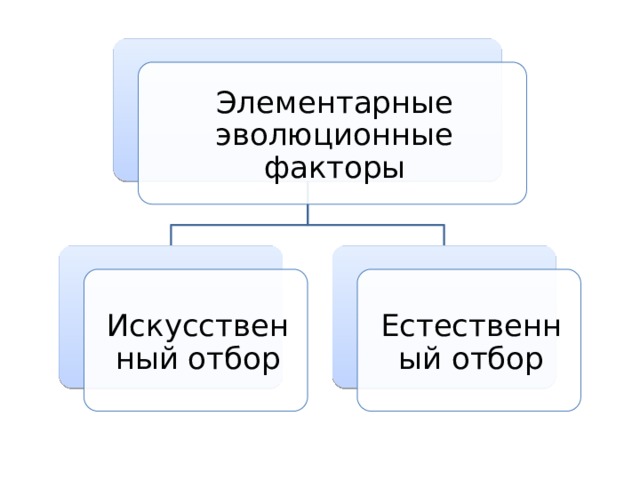 Элементарные эволюционные факторы Искусственный отбор Естественный отбор 