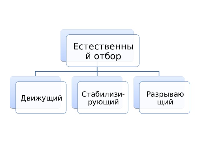 Естественный отбор Движущий Стабилизи-рующий Разрывающий 
