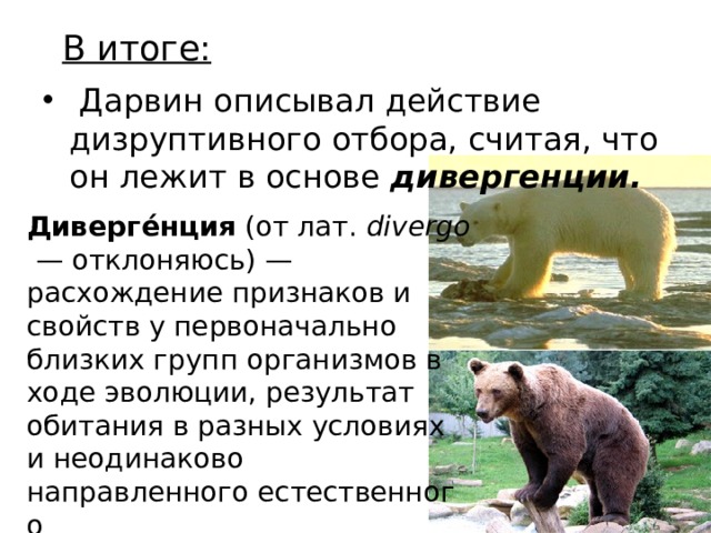 В итоге:   Дарвин описывал действие дизруптивного отбора, считая, что он лежит в основе  дивергенции.  Диверге́нция  (от лат.  divergo  — отклоняюсь) — расхождение признаков и свойств у первоначально близких групп организмов в ходе эволюции, результат обитания в разных условиях и неодинаково направленного естественного  отбора 