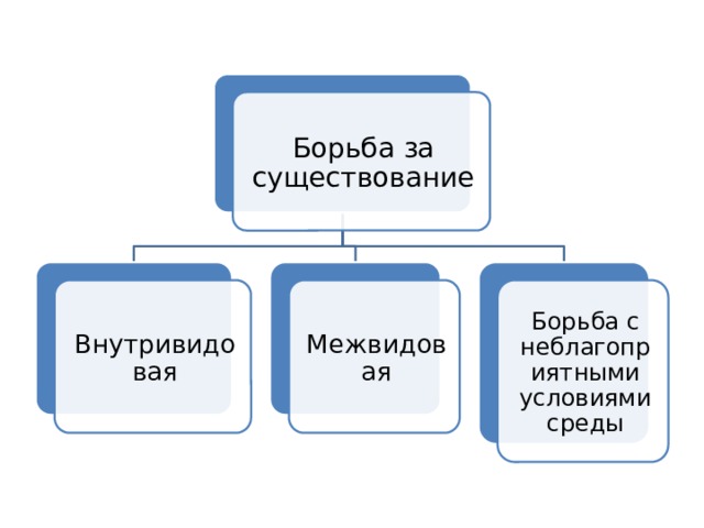 Борьба за существование Внутривидовая Межвидовая Борьба с неблагоприятными условиями среды 