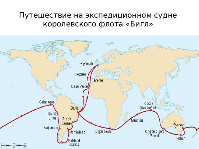 Путешествие на экспедиционном судне королевского флота «Бигл»   