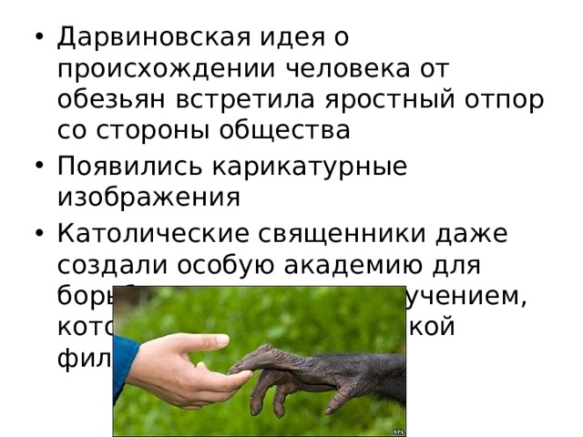 Дарвиновская идея о происхождении человека от обезьян встретила яростный отпор со стороны общества Появились карикатурные изображения Католические священники даже создали особую академию для борьбы с эволюционным учением, которое называют “скотской философией” 