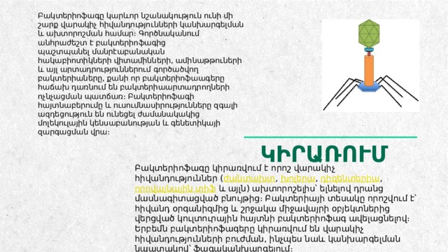 Բակտերիոֆագը կարևոր նշանակություն ունի մի շարք վարակիչ հիվանդությունների կանխարգելման և ախտորոշման համար։ Գործնականում անհրաժեշտ է բակտերիոֆագից պաշտպանել մանրէաբանական հակաբիոտիկների վիտամինների, ամինաթթուների և այլ արտադրություններում գործածվող բակտերիաները, քանի որ բակտերիոֆաագերը հաճախ դառնում են բակտերիաարտադրողների ոչնչացման պատճառ։ Բակտերիոֆագի հայտնաբերումը և ուսումնասիրությունները զգալի ազդեցություն են ունեցել ժամանակակից մոլեկուլային կենսաբանության և գենետիկայի զարգացման վրա։ ԿԻՐԱՌՈՒՄ Բակտերիոֆագը կիրառվում է որոշ վարակիչ հիվանդություններ ( ժանտախտ ,  խոլերա ,  դիզենտերիա ,  որովայնային տիֆ  և այլն) ախտորոշելիս՝ ելնելով դրանց մասնագիտացված բնույթից։ Բակտերիայի տեսակը որոշվում է՝ հիվանդ օրգանիզմից և շրջակա միջավայրի օբյեկտներից վերցված կուլտուրային հայտնի բակտերիոֆագ ավելացնելով։ Երբեմն բակտերիոֆագերը կիրառվում են վարակիչ հիվանդությունների բուժման, ինչպես նաև կանխարգելման նպատակով՝ ֆագականխարգելում։ 