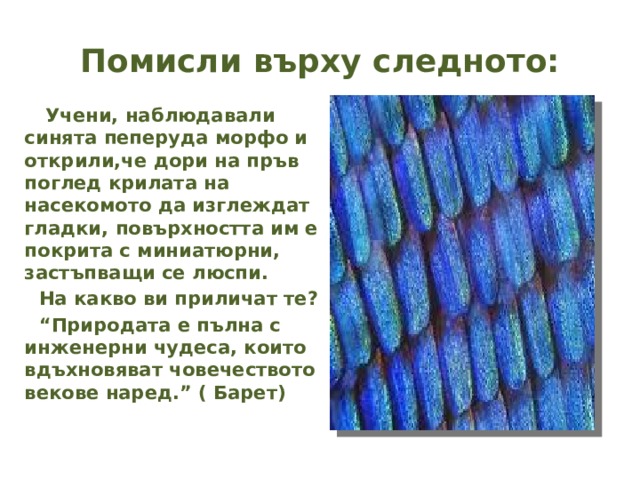 Помисли върху следното:  Учени, наблюдавали синята пеперуда морфо и открили,че дори на пръв поглед крилата на насекомото да изглеждат гладки, повърхността им е покрита с миниатюрни, застъпващи се люспи.  На какво ви приличат те? “ Природата е пълна с инженерни чудеса, които вдъхновяват човечеството векове наред.” ( Барет)  