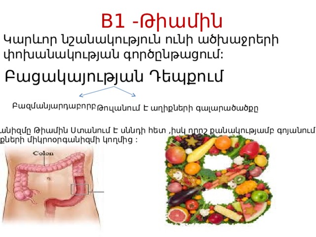 B1 -Թիամին Կարևոր նշանակություն ունի ածխաջրերի փոխանակության գործընթացում: Բացակայության Դեպքում Բազմանյարդաբորբ Թուլանում Է աղիքների գալարածածքը Օրգանիզմը Թիամին Ստանում Է սննդի հետ ,իսկ որոշ քանակությամբ գոյանում աղիքների միկրոօրգանիզմի կողմից : 