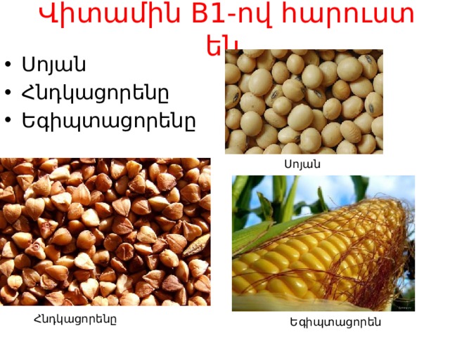 Վիտամին B1-ով հարուստ են Սոյան Հնդկացորենը Եգիպտացորենը Սոյան Հնդկացորենը Եգիպտացորեն 