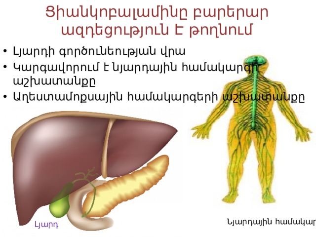 Ցիանկոբալամինը բարերար ազդեցություն Է թողնում Լյարդի գործունեության վրա Կարգավորում է նյարդային համակարգի աշխատանքը Աղեստամոքսային համակարգերի աշխատանքը Նյարդային համակարգ Լյարդ 
