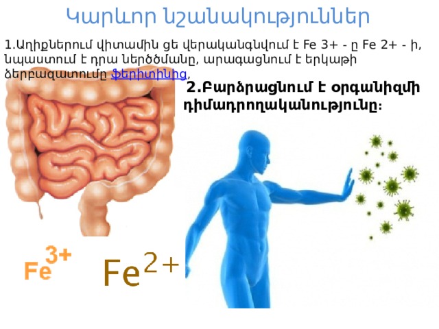 Կարևոր նշանակություններ   1.Աղիքներում վիտամին ցե վերականգնվում է Fe 3+ - ը Fe 2+ - ի, նպաստում է դրա ներծծմանը, արագացնում է երկաթի ձերբազատումը  ֆերիտինից ,  2.Բարձրացնում է օրգանիզմի դիմադրողականությունը : 