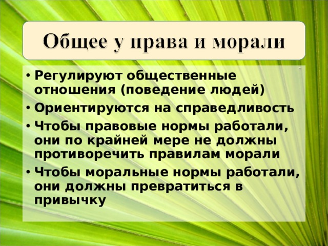 Регулируют общественные отношения (поведение людей) Ориентируются на справедливость Чтобы правовые нормы работали, они по крайней мере не должны противоречить правилам морали Чтобы моральные нормы работали, они должны превратиться в привычку  