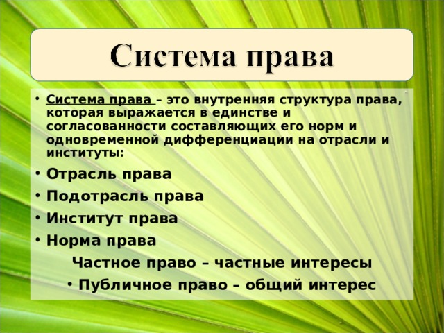 Система права – это внутренняя структура права, которая выражается в единстве и согласованности составляющих его норм и одновременной дифференциации на отрасли и институты: Отрасль права Подотрасль права Институт права Норма права Частное право – частные интересы Публичное право – общий интерес     