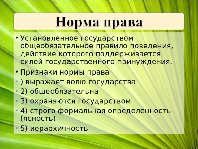 Установленное государством общеобязательное правило поведения, действие которого поддерживается силой государственного принуждения. Признаки нормы права ) выражает волю государства 2) общеобязательна 3) охраняются государством 4) строго формальная определенность (ясность) 5) иерархичность  
