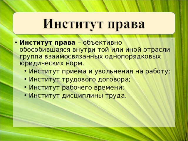 Институт права – объективно обособившаяся внутри той или иной отрасли группа взаимосвязанных однопорядковых юридических норм. Институт приема и увольнения на работу; Институт трудового договора; Институт рабочего времени; Институт дисциплины труда. Институт приема и увольнения на работу; Институт трудового договора; Институт рабочего времени; Институт дисциплины труда. 