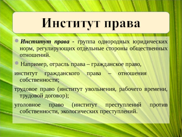 Институт права - группа однородных юридических норм, регулирующих отдельные стороны общественных отношений. Например, отрасль права – гражданское право, институт гражданского права – отношения собственности; трудовое право (институт увольнения, рабочего времени, трудовой договор); уголовное право (институт преступлений против собственности, экологических преступлений. 