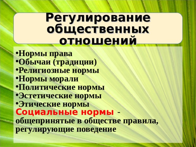 Регулирование общественных отношений Нормы права Обычаи (традиции) Религиозные нормы Нормы морали Политические нормы Эстетические нормы Этические нормы Социальные нормы  - общепринятые в обществе правила, регулирующие поведение 