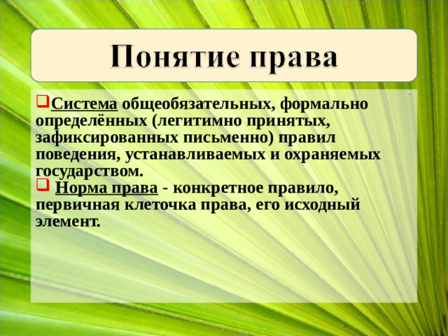 Система общеобязательных, формально определённых (легитимно принятых, зафиксированных письменно) правил поведения, устанавливаемых и охраняемых государством.  Норма права - конкретное правило, первичная клеточка права, его исходный элемент. 