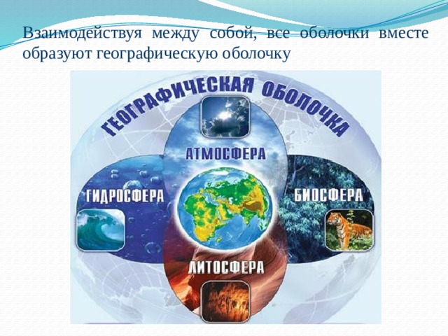 Взаимодействуя между собой, все оболочки вместе образуют географическую оболочку 