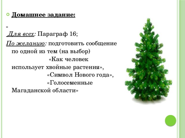  Домашнее задание:   Для всех : Параграф 16; По желанию : подготовить сообщение по одной из тем (на выбор) «Как человек использует хвойные растения», «Символ Нового года», «Голосеменные Магаданской области» 