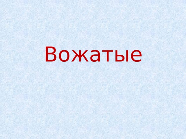 Вожатые 