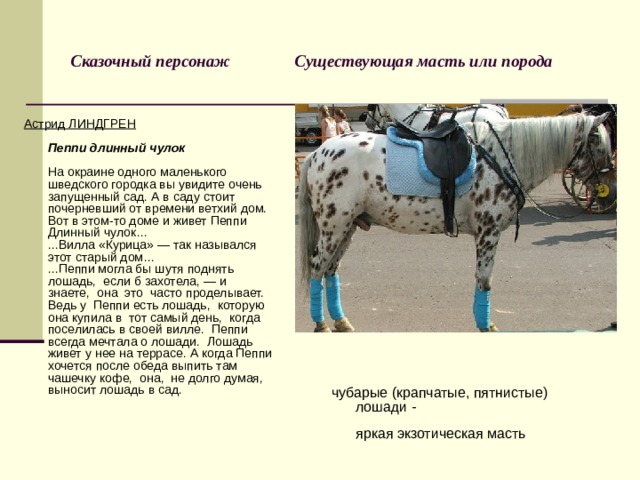 Сказочный персонаж Существующая масть или порода Астрид ЛИНДГРЕН   Пеппи длинный чулок   На окраине одного маленького шведского городка вы увидите очень запущенный сад. А в саду стоит почерневший от времени ветхий дом. Вот в этом-то доме и живет Пеппи Длинный чулок…  ...Вилла «Курица» — так назывался этот старый дом…  ...Пеппи могла бы шутя поднять лошадь,  если б захотела, — и  знаете,  она  это  часто проделывает.  Ведь у  Пеппи есть лошадь,  которую она купила в  тот самый день,  когда поселилась в своей вилле.  Пеппи всегда мечтала о лошади.  Лошадь живет у нее на террасе. А когда Пеппи хочется после обеда выпить там чашечку кофе,  она,  не долго думая, выносит лошадь в сад. чубарые (крапчатые, пятнистые) лошади -   яркая экзотическая масть     
