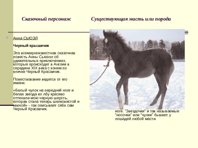Сказочный персонаж Существующая масть или порода Лошадь вороной масти с белой звездочкой во лбу и белым чулком на передней ноге. 