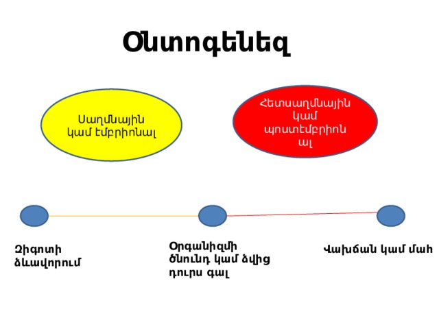 Օնտոգենեզ   Հետսաղմնային կամ պոստէմբրիոնալ Սաղմնային կամ էմբրիոնալ Օրգանիզմի ծնունդ կամ ձվից դուրս գալ Զիգոտի ձևավորում Վախճան կամ մահ 