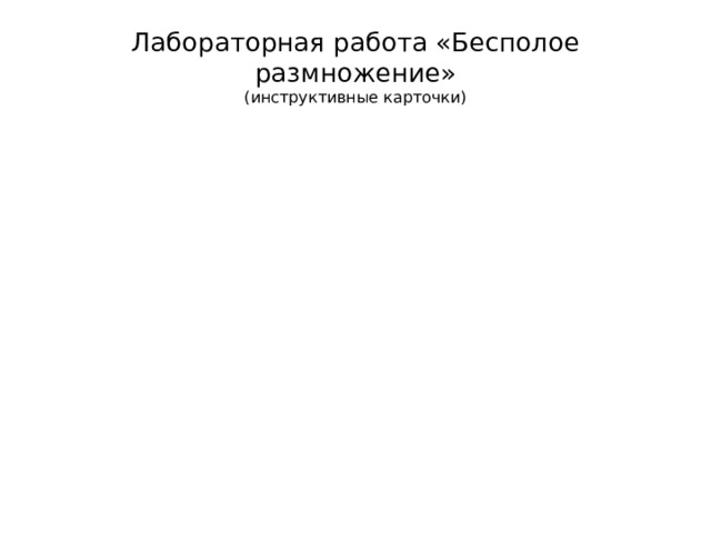 Лабораторная работа «Бесполое размножение»  (инструктивные карточки) 