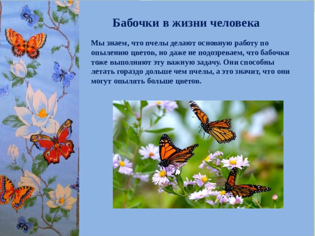 Бабочки в жизни человека Мы знаем, что пчелы делают основную работу по опылению цветов, но даже не подозреваем, что бабочки тоже выполняют эту важную задачу. Они способны летать гораздо дольше чем пчелы, а это значит, что они могут опылять больше цветов. 