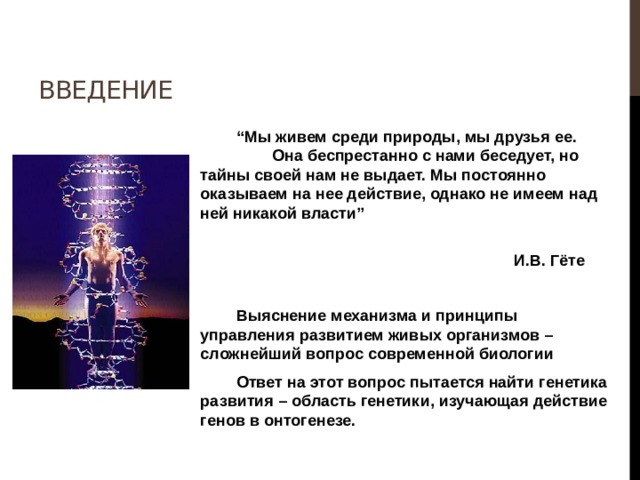 Введение “ Мы живем среди природы, мы друзья ее. Она беспрестанно с нами беседует, но тайны своей нам не выдает. Мы постоянно оказываем на нее действие, однако не имеем над ней никакой власти”  И.В. Гёте   Выяснение механизма и принципы управления развитием живых организмов – сложнейший вопрос современной биологии  Ответ на этот вопрос пытается найти генетика развития – область генетики, изучающая действие генов в онтогенезе. 
