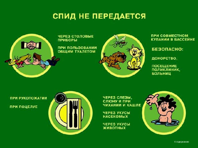 К содержанию 