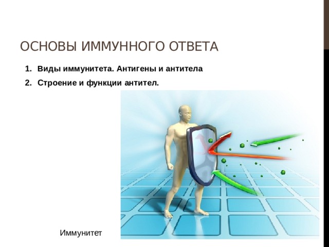 Основы иммунного ответа Виды иммунитета. Антигены и антитела Строение и функции антител.  Иммунитет 