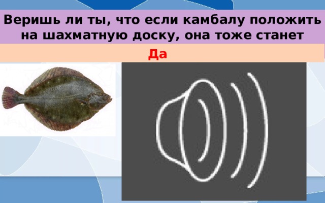 Веришь ли ты, что если камбалу положить на шахматную доску, она тоже станет клетчатой? Да  