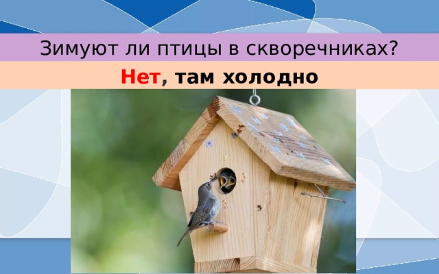 Зимуют ли птицы в скворечниках? Нет , там холодно 