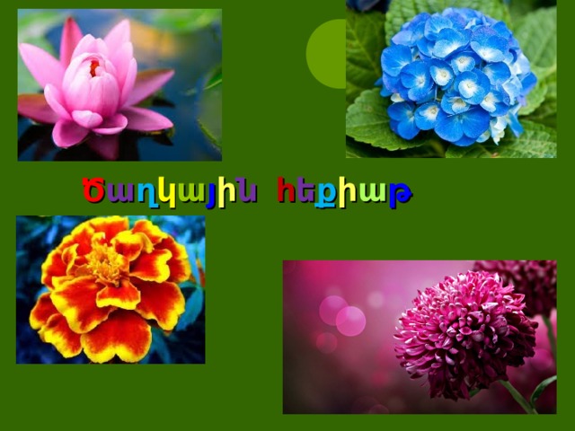 Ծ ա ղ կ ա յ ի ն հ ե ք ի ա թ       