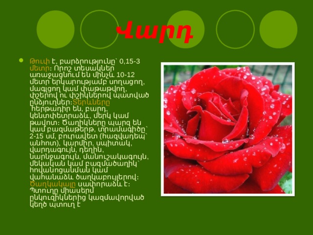  Վ արդ Թուփ  է, բարձրությունը` 0,15-3  մետր ։ Որոշ տեսակներ առաջացնում են մինչև 10-12 մետր երկարությամբ սողացող, մագլցող կամ փաթաթվող, փշերով ու փշիկներով պատված ընձյուղներ։ Տերևները  հերթադիր են, բարդ, կենտփետրաձև, մերկ կամ թավոտ։ Ծաղիկները պարզ են կամ բազմաթերթ, տրամագիծը` 2-15 սմ, բուրավետ (հազվադեպ` անհոտ), կարմիր, սպիտակ, վարդագույն, դեղին, նարնջագույն, մանուշակագույն, մեկական կամ բազմածաղիկ` հովանոցանման կամ վահանաձև ծաղկաբույլերով։  Ծաղկակալը  սափորաձև է։ Պտուղը միասերմ ընկուզիկներից կազմավորված կեղծ պտուղ է 