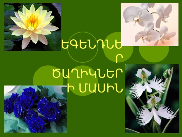 ԼԵԳԵՆԴՆԵՐ ԾԱՂԻԿՆԵՐԻ ՄԱՍԻՆ 