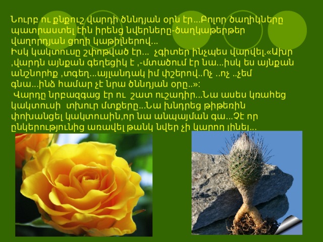 Նուրբ ու քնքուշ վարդի ծննդյան օրն էր ... Բոլոր ծաղիկները պատրաստել էին իրենց նվերները - ծաղկաթերթեր վաղորդյան ցողի կաթիլներով ...  Իսկ կակտուսը շփոթված էր ...   չգիտեր ինչպես վարվել .« Ախր , վարդն այնքան գեղեցիկ է ,- մտածում էր նա ... իսկ ես այնքան անշնորհք , տգեղ ... այլանդակ իմ փշերով .. Ոչ .. ոչ .. չեմ գնա ... ինձ համար չէ նրա ծննդյան օրը ..»:    Վարդը նրբազգաց էր ու   շատ ուշադիր ... Նա ասես կռահեց կակտուսի   տխուր մտքերը ... Նա խնդրեց թիթեռին փոխանցել կակտուսին , որ նա անպայման գա ... Չէ որ ընկերությունից առավել թանկ նվեր չի կարող լինել ...   