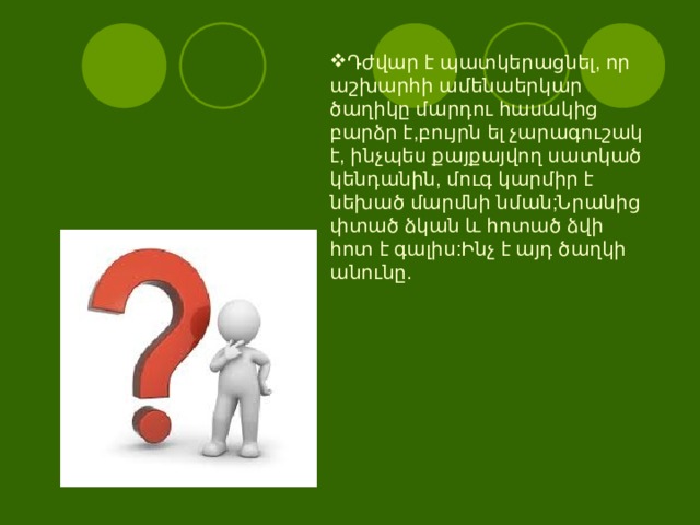 Դժվար է պատկերացնել, որ աշխարհի ամենաերկար ծաղիկը մարդու հասակից բարձր է,բույրն ել չարագուշակ է, ինչպես քայքայվող սատկած կենդանին, մուգ կարմիր է նեխած մարմնի նման;Նրանից փտած ձկան և հոտած ձվի հոտ է գալիս:Ինչ է այդ ծաղկի անունը.   