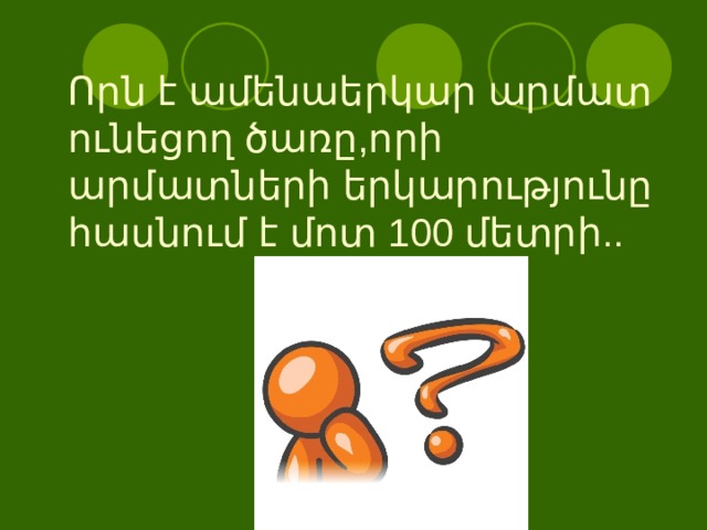 Որն է ամենաերկար արմատ ունեցող ծառը,որի արմատների երկարությունը հասնում է մոտ 100 մետրի.. 