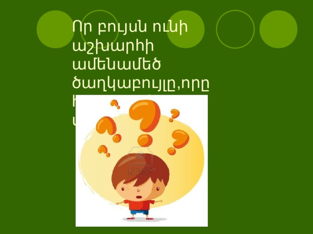 Որ բույսն ունի աշխարհի ամենամեծ ծաղկաբույլը,որը հասնում է 14 մետրի. 