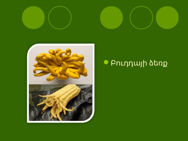 Բուդդայի ձեռք 