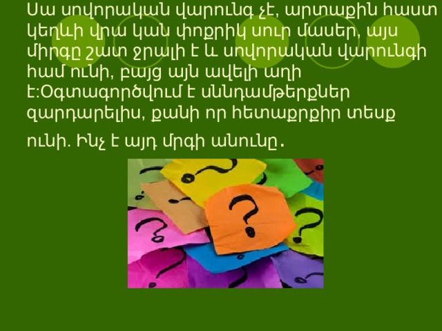 Սա սովորական վարունգ չէ, արտաքին հաստ կեղևի վրա կան փոքրիկ սուր մասեր, այս միրգը շատ ջրալի է և սովորական վարունգի համ ունի, բայց այն ավելի աղի է:Օգտագործվում է սննդամթերքներ զարդարելիս, քանի որ հետաքրքիր տեսք ունի. Ինչ է այդ մրգի անունը .   