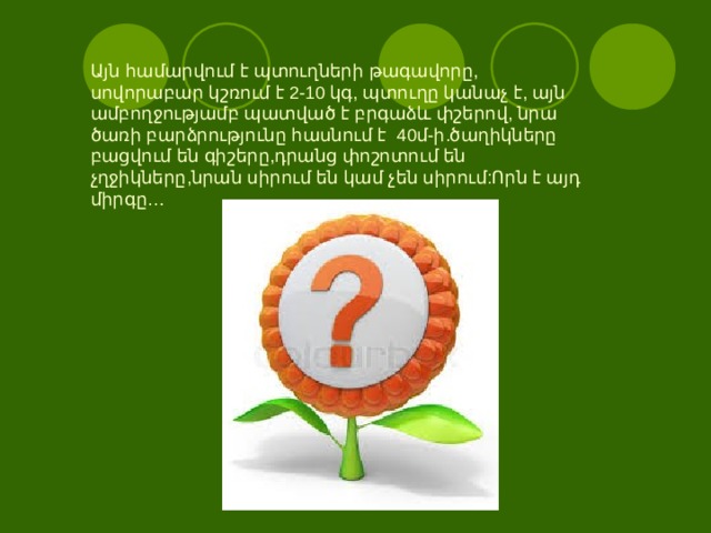 Այն համարվում է պտուղների թագավորը, սովորաբար կշռում է 2-10 կգ, պտուղը կանաչ է, այն ամբողջությամբ պատված է բրգաձև փշերով, նրա ծառի բարձրությունը հասնում է 40մ-ի.ծաղիկները բացվում են գիշերը,դրանց փոշոտում են չղջիկները,նրան սիրում են կամ չեն սիրում:Որն է այդ միրգը… 