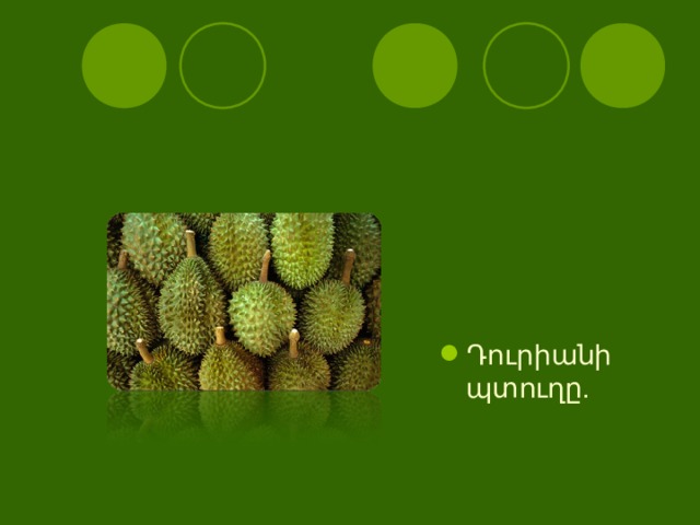Դուրիանի պտուղը.  