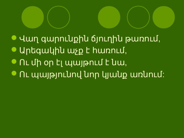 Վ աղ գարունքին ճյուղին թառում, Արեգակին աչք է հառում, Ու մի օր էլ պայթում է նա, Ու պայթյունով նոր կյանք առնում: 